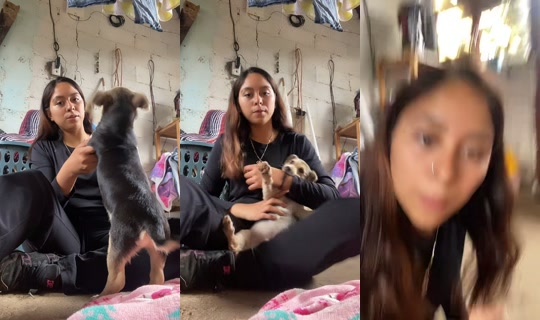 onlydenelins TikTok Live — Sep 2, 2026, 9:09 PM