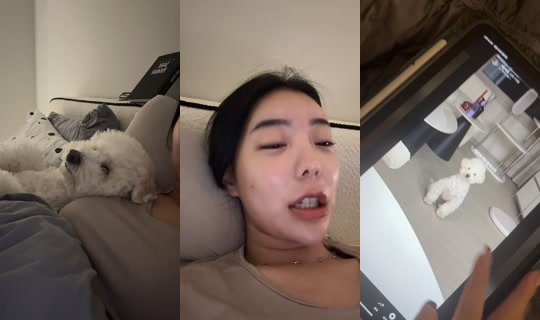 openmalecloset TikTok Live — Aug 24, 2026, 11:05 AM