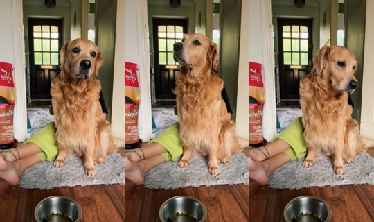 ottox500 TikTok Live — Oct 2, 2026, 2:52 PM