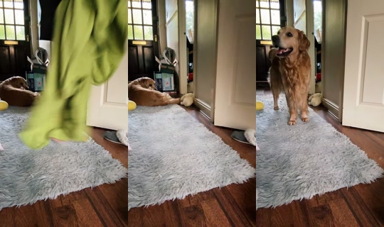 ottox500 TikTok Live — Oct 2, 2026, 4:26 PM