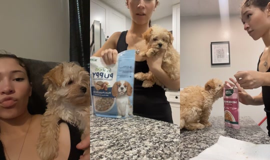 p3rk.a TikTok Live — Sep 20, 2026, 8:03 PM