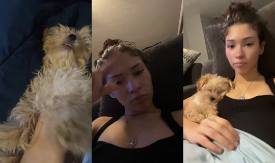p3rk.a TikTok Live — Sep 21, 2026, 2:28 AM