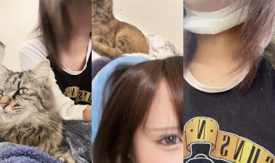 pagu_xxk.8 TikTok Live — Sep 6, 2026, 3:36 AM
