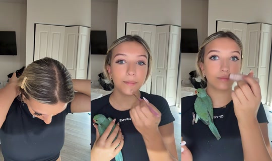 paigesylvia1 TikTok Live — Sep 1, 2026, 9:24 PM
