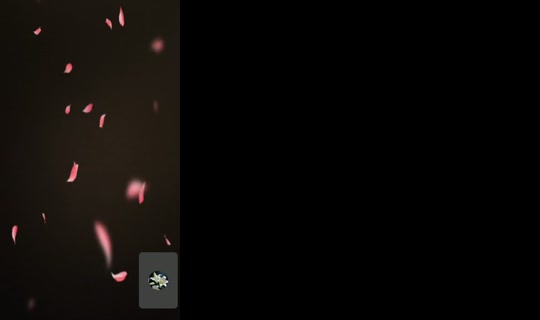 palacioskarime TikTok Live — Sep 24, 2026, 3:55 AM