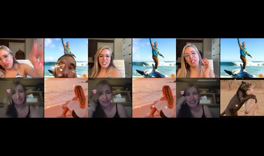 panteritaenaustralia TikTok Live — Aug 23, 2026, 4:19 AM