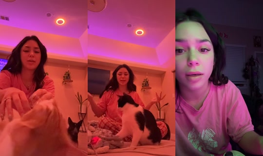 pdawg4877 TikTok Live — Oct 5, 2026, 5:03 AM