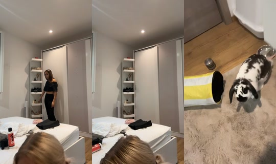 pepette.cl TikTok Live — Aug 22, 2026, 6:20 PM