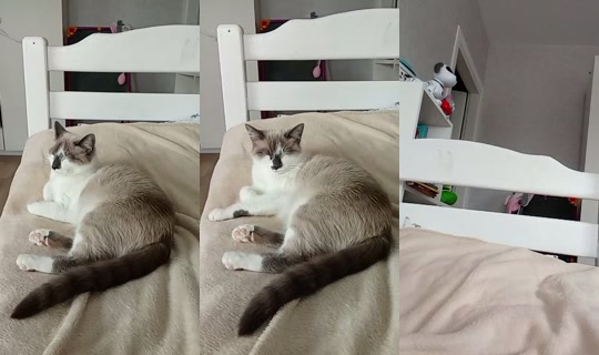 perdun_637 TikTok Live — Sep 12, 2026, 9:37 AM