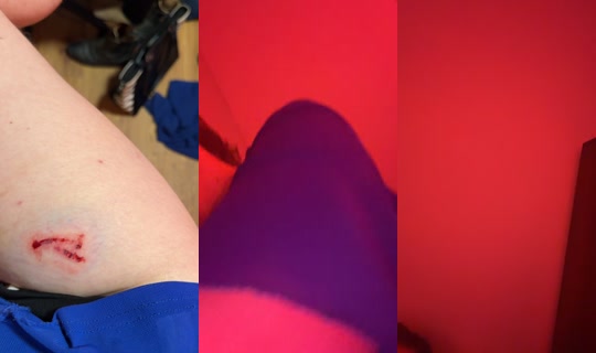 perleymistfarms TikTok Live — Oct 3, 2026, 4:49 AM