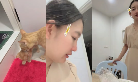 petcharatnaksisuk TikTok Live — Sep 22, 2026, 12:54 PM