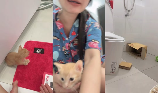 petcharatnaksisuk TikTok Live — Sep 23, 2026, 2:45 PM