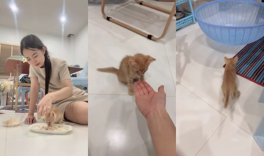 petcharatnaksisuk TikTok Live — Oct 1, 2026, 1:49 PM