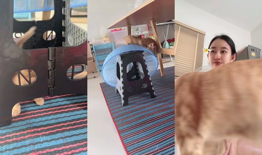 petcharatnaksisuk TikTok Live — Oct 4, 2026, 2:07 AM