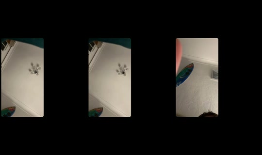 peter_thick25 TikTok Live — Sep 30, 2026, 9:49 PM