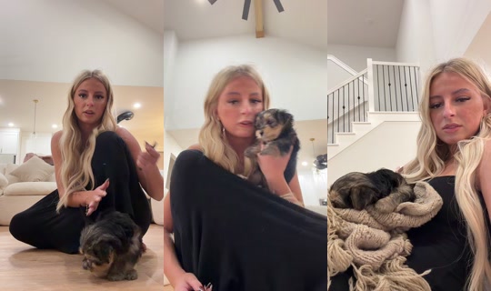 petiteblondehailey TikTok Live — Oct 6, 2026, 4:34 AM