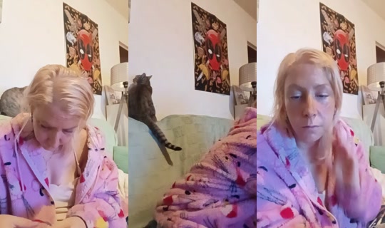 petitpoid56 TikTok Live — Oct 8, 2026, 3:37 AM