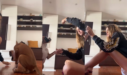 phanculoatutti TikTok Live — Sep 26, 2026, 11:30 AM