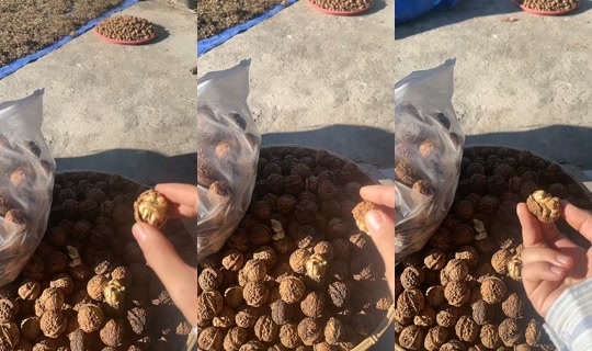phanthao1025 TikTok Live — Oct 7, 2026, 8:58 AM