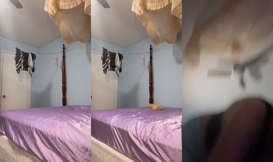 phatcat642 TikTok Live — Oct 9, 2026, 7:58 AM