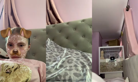 pheebs785 TikTok Live — Aug 24, 2026, 11:23 AM