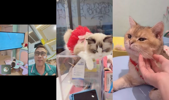 phiangdowww TikTok Live — Sep 3, 2026, 1:45 PM