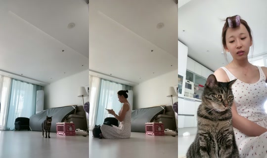 pikababy00 TikTok Live — Sep 21, 2026, 11:55 PM