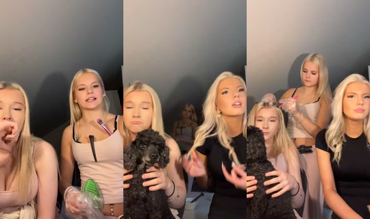 pikkublonditt TikTok Live — Sep 23, 2026, 3:14 PM