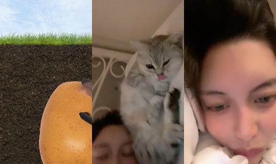 piku_koto TikTok Live — Oct 8, 2026, 2:49 PM