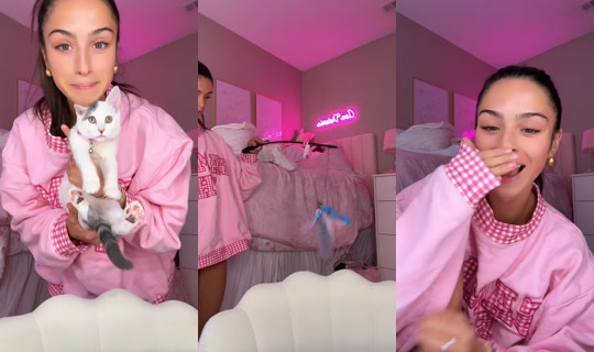 pink3ggsanham TikTok Live — Sep 29, 2026, 5:06 PM