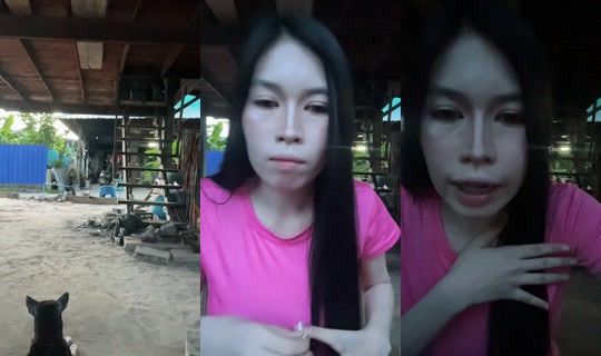 pinnnnnnn_061 TikTok Live — Aug 23, 2026, 11:15 AM