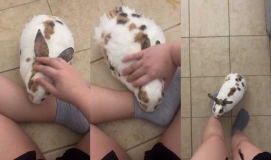 pixie.housewife TikTok Live — Oct 8, 2026, 10:03 PM