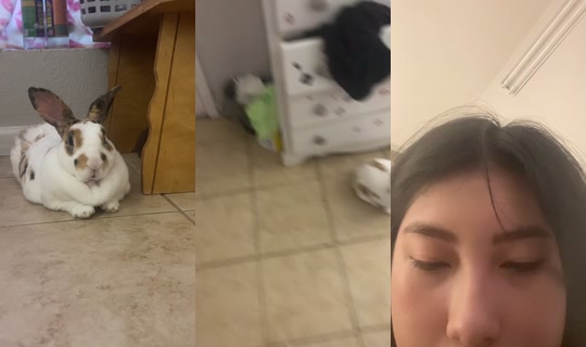 pixie.housewife TikTok Live — Oct 8, 2026, 11:02 PM