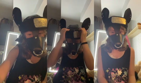 pixiepupcup TikTok Live — Aug 26, 2026, 3:47 AM