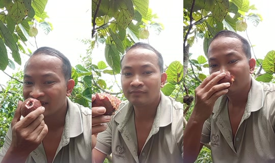 pky91872940 TikTok Live — Sep 15, 2026, 1:36 AM