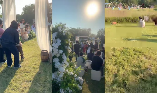 poppy6408 TikTok Live — Oct 6, 2026, 7:36 AM