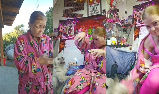 powerpufqueen420 TikTok Live — Oct 8, 2026, 3:37 PM
