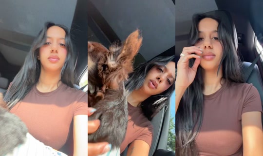 prettylittlearab TikTok Live — Sep 12, 2026, 5:57 PM