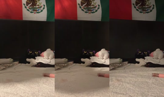 princesasnextdoor TikTok Live — Oct 8, 2026, 9:02 AM