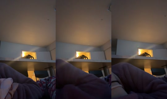princessaema1 TikTok Live — Oct 8, 2026, 11:21 PM