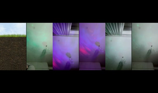 ptn291201 TikTok Live — Sep 21, 2026, 5:00 PM