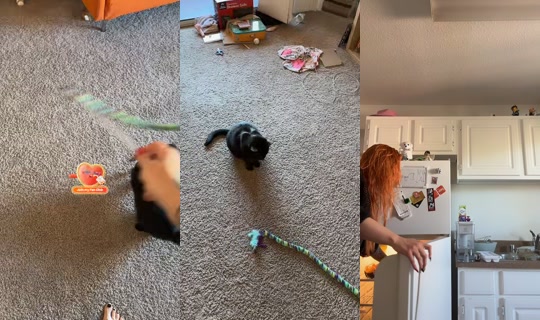 pumpkinb0ne TikTok Live — Oct 4, 2026, 7:23 PM