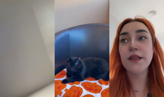 pumpkinb0ne TikTok Live — Oct 5, 2026, 9:50 PM