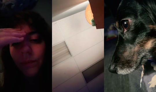 pumpkinwebb TikTok Live — Sep 29, 2026, 4:55 AM