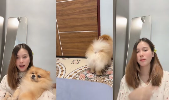 puy256418 TikTok Live — Sep 29, 2026, 3:05 PM