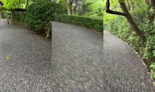 pyon2525fzp TikTok Live — Sep 3, 2026, 3:08 AM