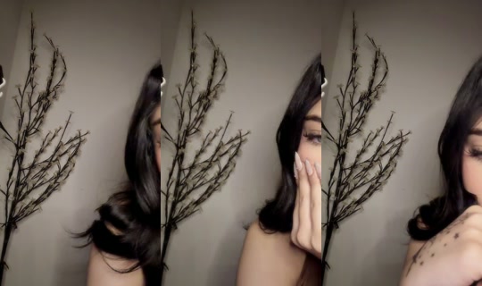 q.iia1 TikTok Live — Aug 21, 2026, 11:34 PM