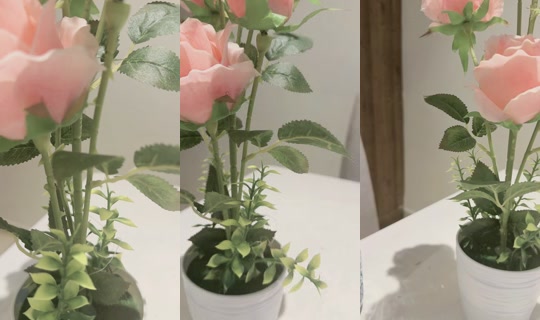 qamra450 TikTok Live — Sep 2, 2026, 7:23 AM
