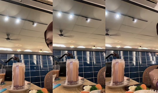 qaslovedelululu TikTok Live — Sep 18, 2026, 12:21 PM