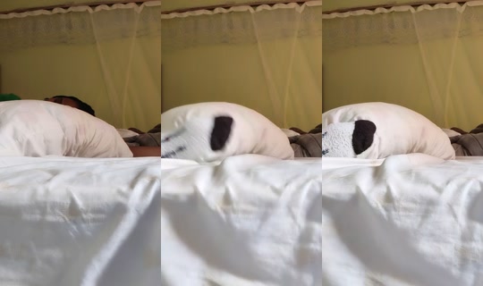 queen1g4 TikTok Live — Sep 10, 2026, 12:14 PM